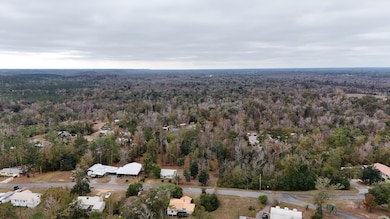 0 Walnut St, Chattahoochee, FL 32324 - photo 2