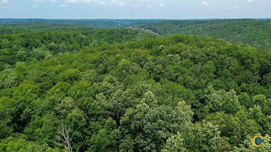 0 Catheys Creek Rd unit 25510509, Hampshire, TN 38461 - photo 6