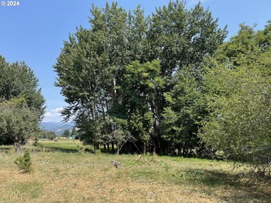 0 Cornucopia Hwy, Halfway, OR 97834 - photo 5