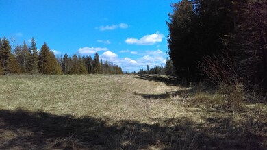 IMAG0286