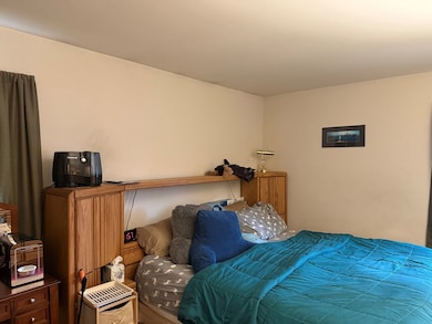 unlisted-address, Bolingbrook, IL 60440 - photo 7