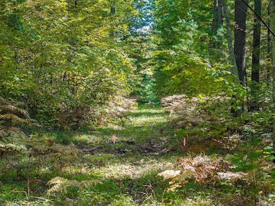 Lot 1 Lake Yawkey Dr, Hazelhurst, WI 54531 - photo 4