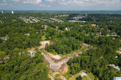 3333 Chandler Way, Hoover, AL 35226 - photo 5