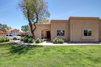 Lemon Tree Chandler AZ