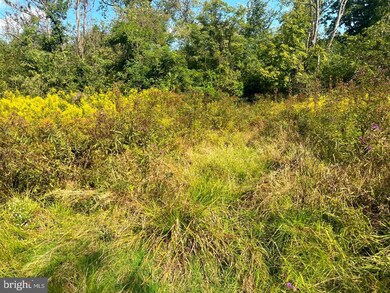 0 Jc Markwood Rd unit WVHD2001136, Old Fields, WV 26845 - photo 5