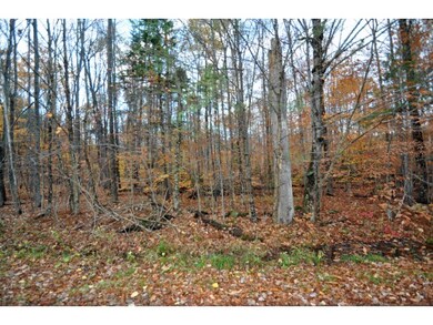 Wooded setting
