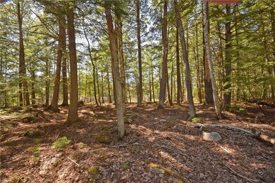 Land lot