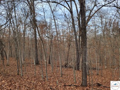 0 Dunn Dr unit Lot 1331, Edwards, MO 65326 - photo 5