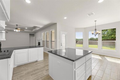 145 Mockingbird Hill Dr, Joshua, TX 76058 - photo 3