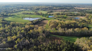 dji_fly_20230316_081242_633_167897275883