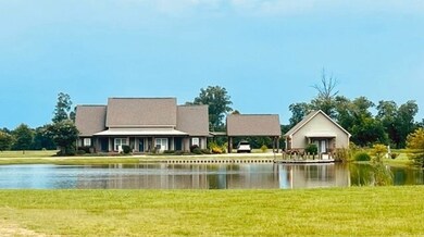 6019 Highway 17 N, Delhi, LA 71232 - photo 5