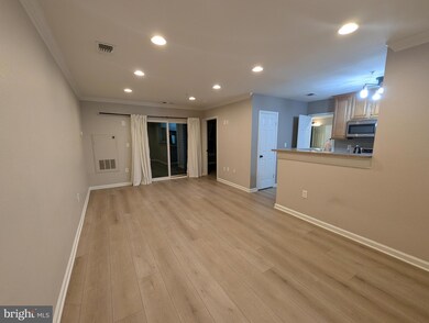 4510 Superior Square unit 4510, Fairfax, VA 22033 - photo 6