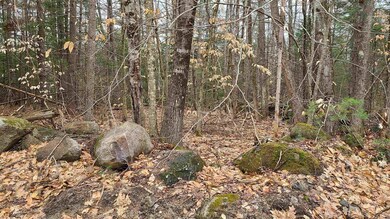 00 Haines Hill Rd unit Tract 1, Avery Lot, Wolfeboro, NH 03894 - photo 4