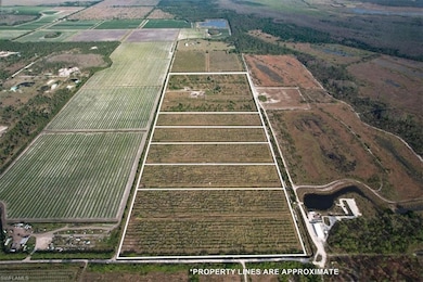 21999 Carter Rd, Estero, FL 33928 - photo 6