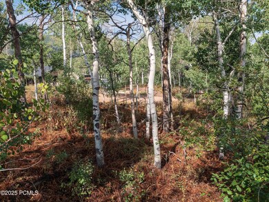 2919 Green Briar Way unit 543, Timber Lakes, UT 84032 - photo 3