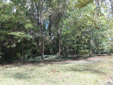 2308 Tennessee St, Longview, TX 75605 - photo 5