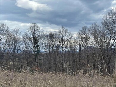 Long Range Views!