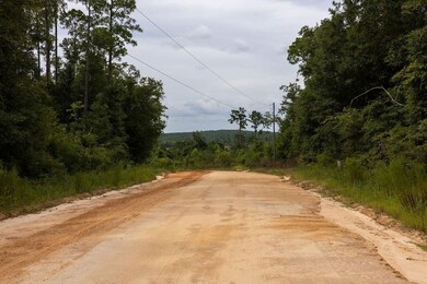 0 Pike Pond Rd unit 25388252, Alford, FL 32420 - photo 4