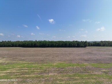 DJI_0558