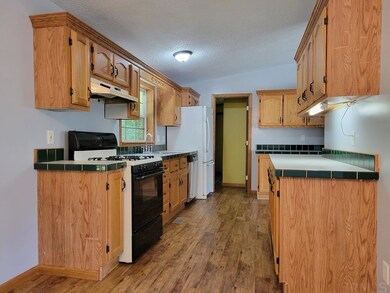 1630 N Mountain Lake Rd, Albion, IN 46701 - photo 7