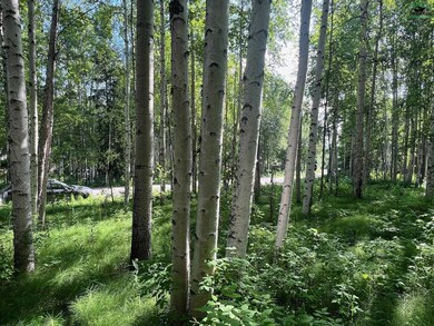 1901 Kittiwake Dr, College, AK 99709 - photo 6