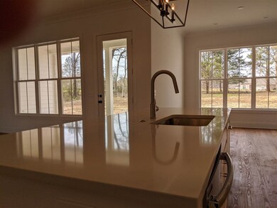 111 Lake Ridge Dr, Madison, MS 39110 - photo 5