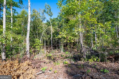 3785 Hwy 140 NE, Rydal, GA 30171 - photo 5