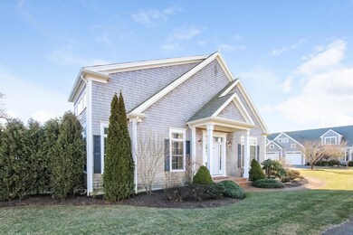 001-photo-front-view-6684335
