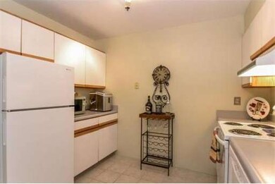 Classical High Condominiums unit 229, Springfield, MA 01103 - photo 5