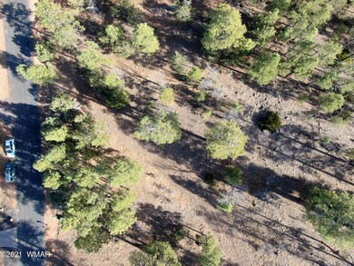 DJI_0865
