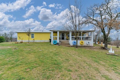 509 Big Salty Dr, Springtown, TX 76082 - photo 3