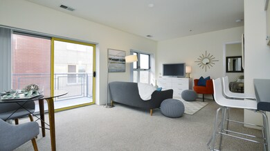 Dining/Living Room