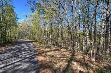 0 Mckibben Rd unit 7665027, Buchanan, GA 30113 - photo 3