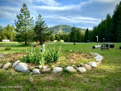 1367 Mud Gulch Rd, Priest River, ID 83856 - photo 4
