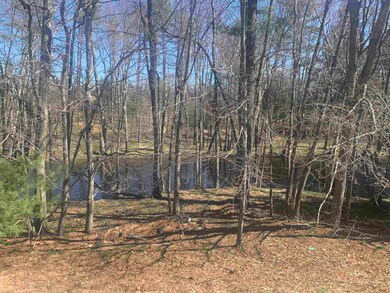 148 Daffodil Hill Ln, Rochester, NH 03868 - photo 3
