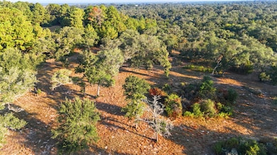 TBD County Road 15, Hallettsville, TX 77964 - photo 4