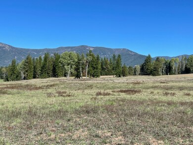 Nhn Graham Ln, Trout Creek, MT 59874 - photo 5