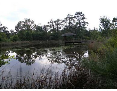 Land/Lot.