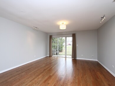 1820 Grove Ave unit 16B182, Schaumburg, IL 60193 - photo 5