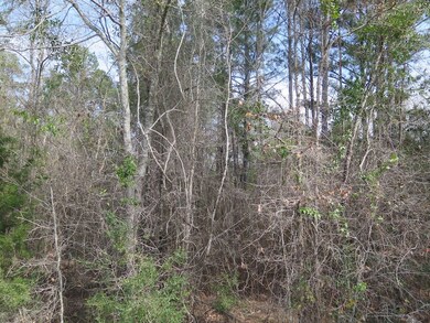 0 Gilmer Rd unit LotWP001, Taylorsville, MS 39168 - photo 3