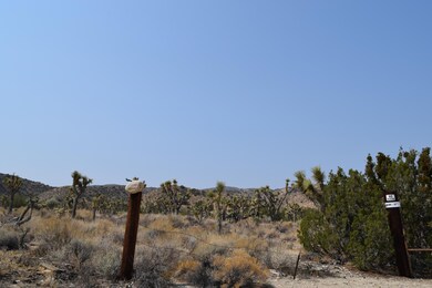 DSC_0384