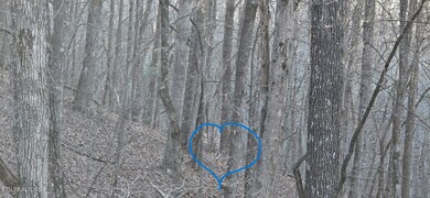 WOODED