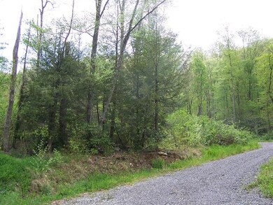 Access Road