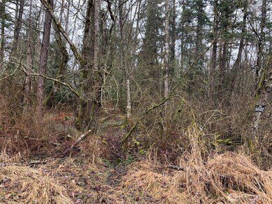 9924 Markworth Rd, Lynden, WA 98264 - photo 6