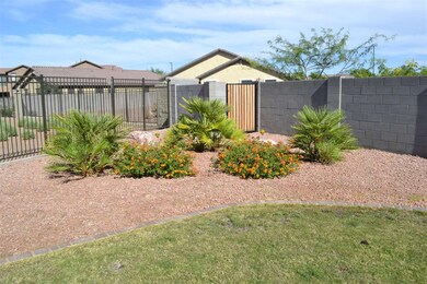 Backyard 2