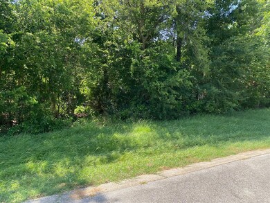 TBD A47 Dublin Cir, Gordonville, TX 76245 - photo 4