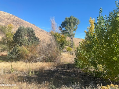 1155 US Highway 395 S, Gardnerville, NV 89410 - photo 6