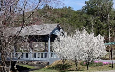 Additional View