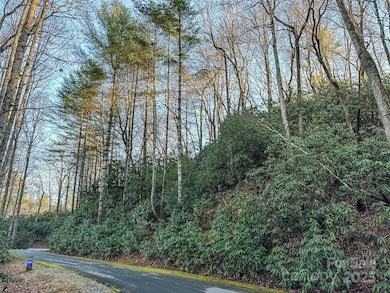 D17 Caroline Ln, Pisgah Forest, NC 28768 - photo 5