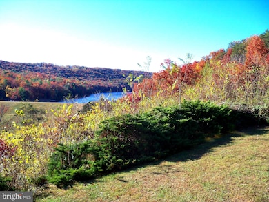 30 The Hill Rd unit L-30, Basye, VA 22810 - photo 4